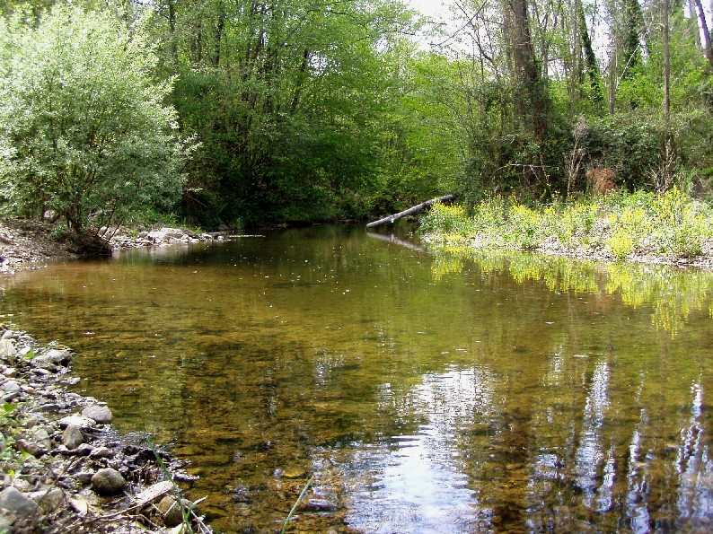 Valle del Farma e Stagno della Troscia: luoghi meravigliosi!